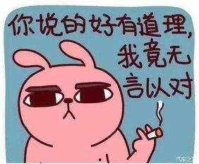 家庭加一,温馨生活新篇章