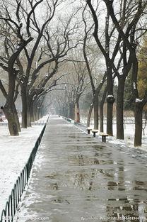 雪水消融的季节,季节变迁中的冰雪消融记