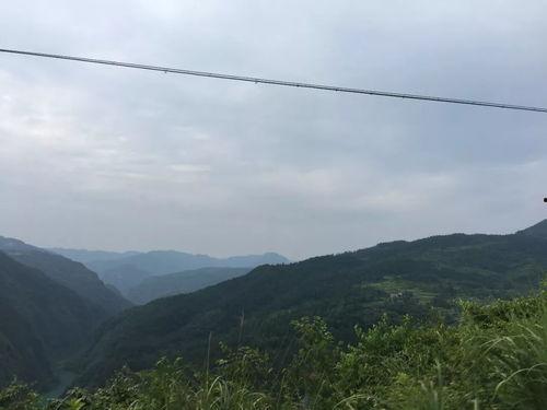 大山的希望,描绘乡村振兴的美好蓝图