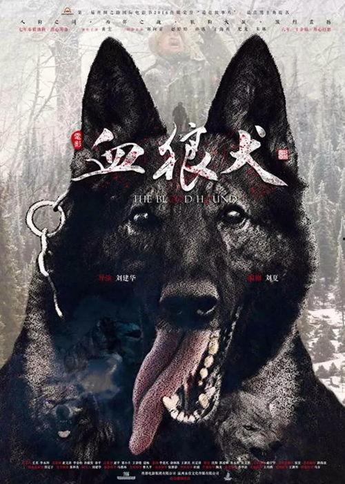 血狼犬,追踪野性的忠诚与勇气