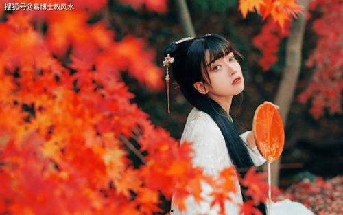 重生七零萌宝她靠空间致富